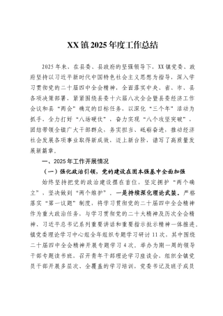 镇2025年度工作总结和2026年工作计划