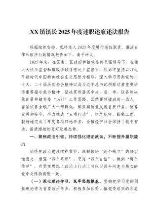 镇镇长2025年度述职述廉述法报告