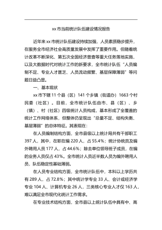 市当前统计队伍建设情况报告