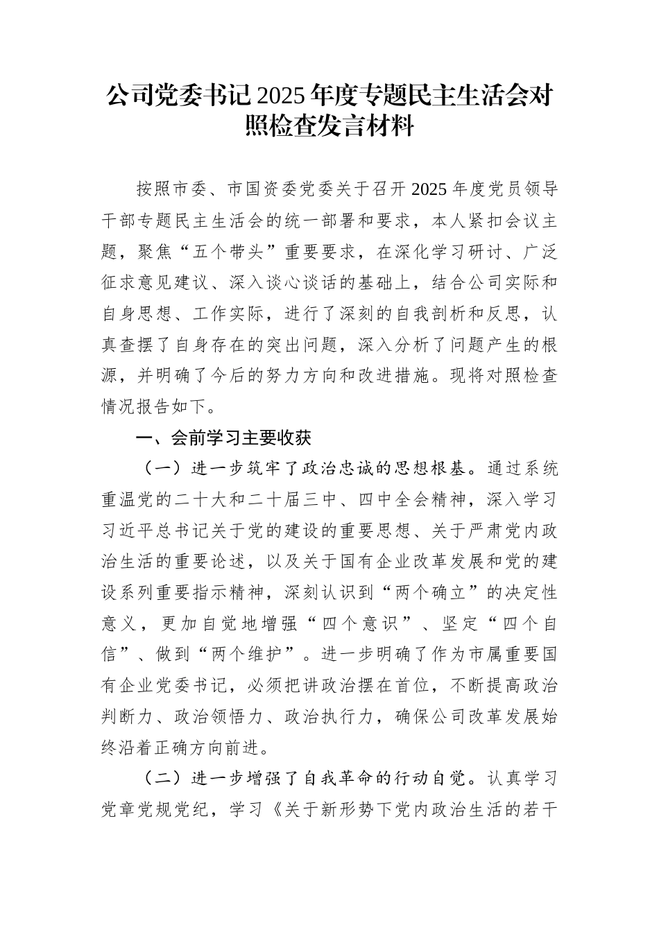 公司党委书记2025年度专题民主生活会对照检查发言材料_第1页