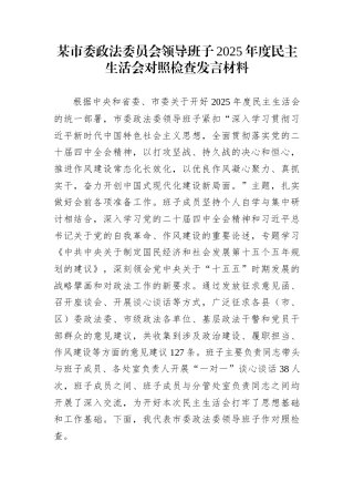 某市委政法委员会领导班子2025年度民主生活会对照检查发言材料