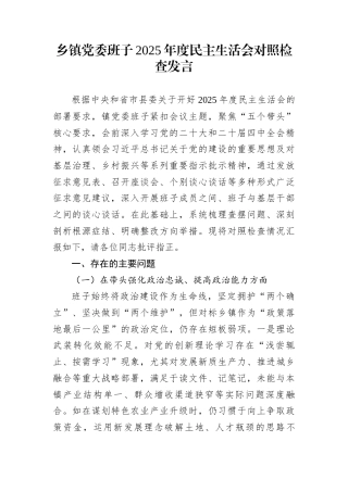 乡镇党委班子2025年度民主生活会对照检查发言