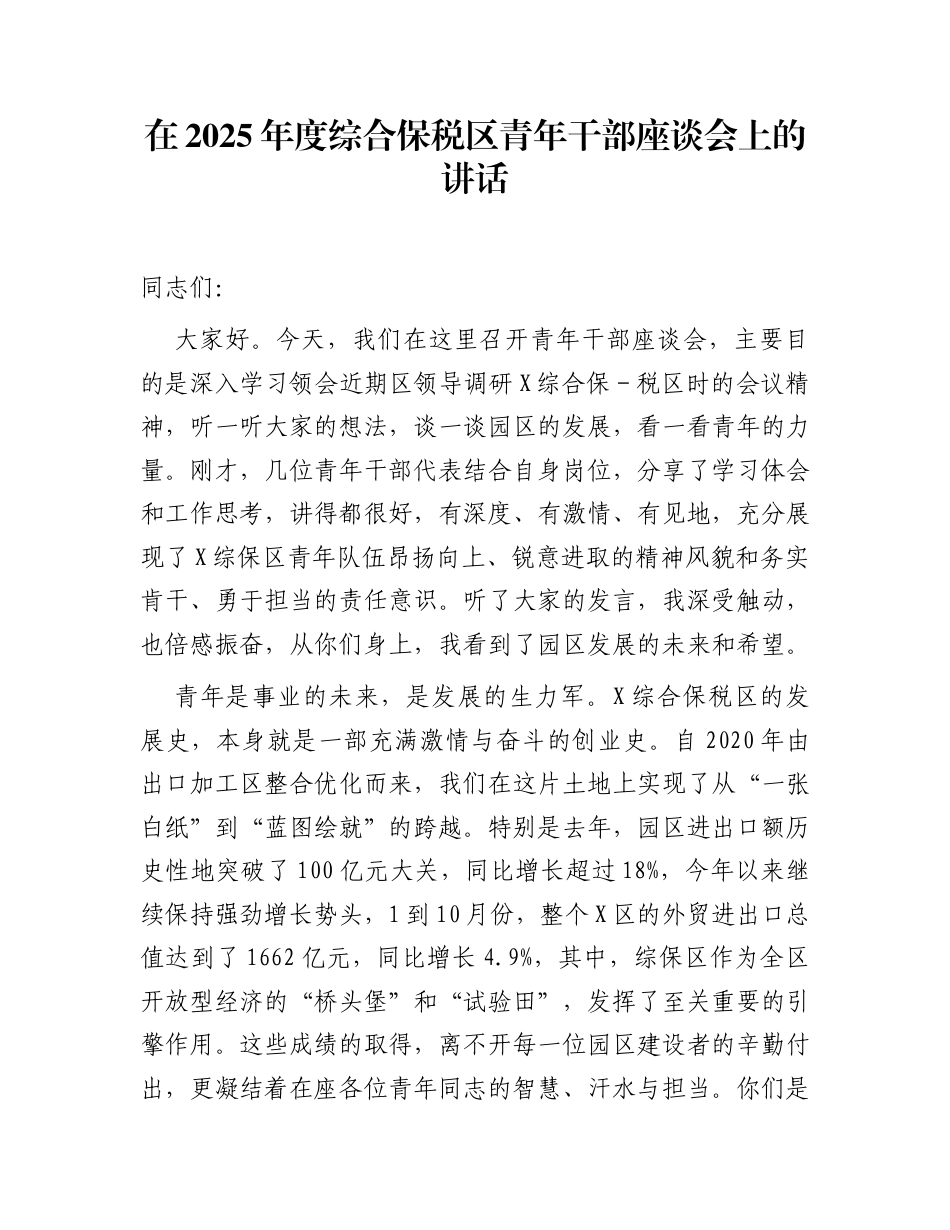 在2025年度综合保税区青年干部座谈会上的讲话_第1页