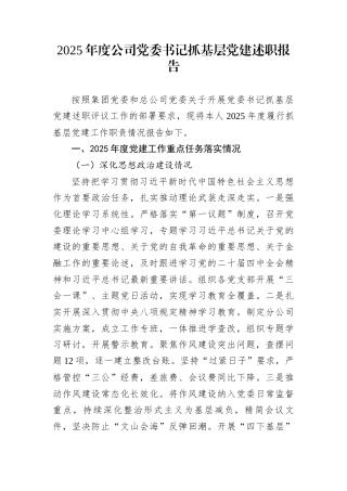2025年度公司党委书记抓基层党建述职报告