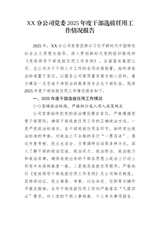 XX分公司党委2025年度干部选拔任用工作情况报告