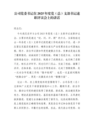 公司党委书记在2025年度党（总）支部书记述职评议会上的讲话