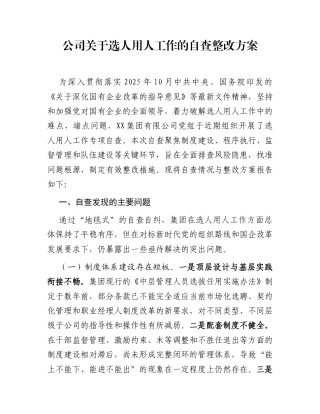 公司关于选人用人工作的自查整改方案