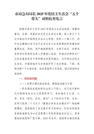 市应急局局长2025年度民主生活会“五个带头”对照检查发言