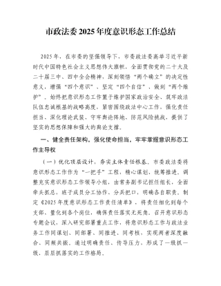 市政法委2025年度意识形态工作总结