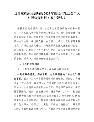 县自然资源局副局长2025年度民主生活会个人对照检查材料(五个带头)