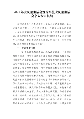 2025年度民主生活会暨巡察整改民主生活会个人发言提纲