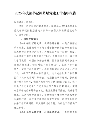 2025年支部书记抓基层党建工作述职报告