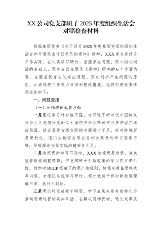 XX公司党支部班子2025年度组织生活会对照检查材料