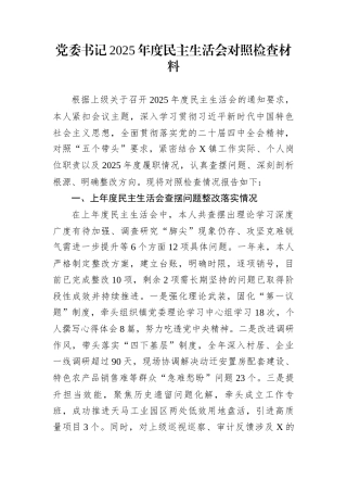 党委书记2025年度民主生活会对照检查材料