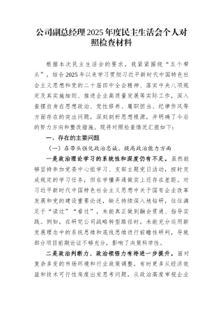 公司副总经理2025年度民主生活会个人对照检查材料