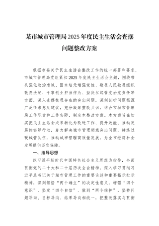 某市城市管理局2025年度民主生活会查摆问题整改方案