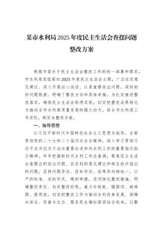 某市水利局2025年度民主生活会查摆问题整改方案