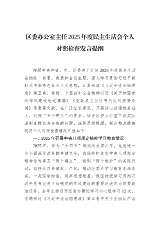 区委办公室主任2025年度民主生活会个人对照检查发言提纲