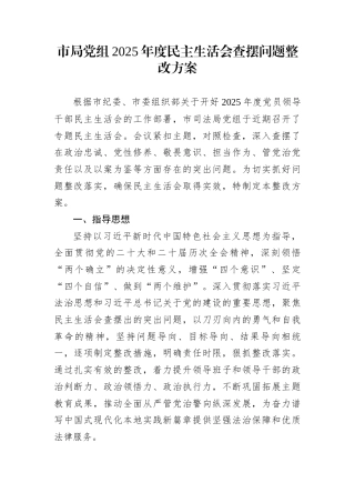 市局党组2025年度民主生活会查摆问题整改方案
