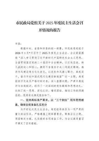 市民政局党组关于2025年度民主生活会召开情况的报告