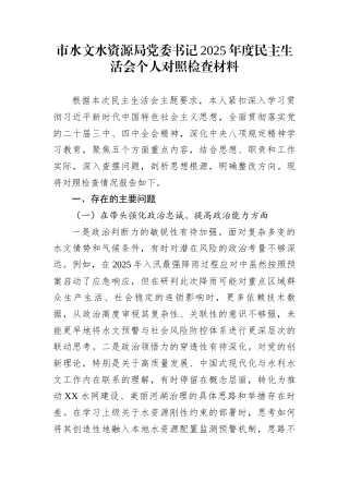 市水文水资源局党委书记2025年度民主生活会个人对照检查材料