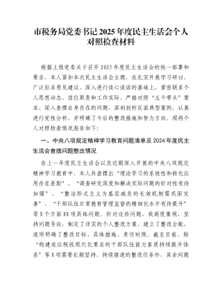 市税务局党委书记2025年度民主生活会个人对照检查材料
