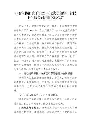 市委宣传部关于2025年度党员领导干部民主生活会召开情况的报告