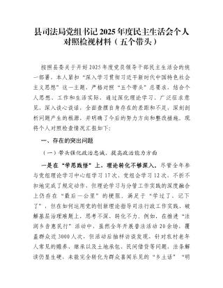 县司法局党组书记2025年度民主生活会个人对照检视材料（五个带头）