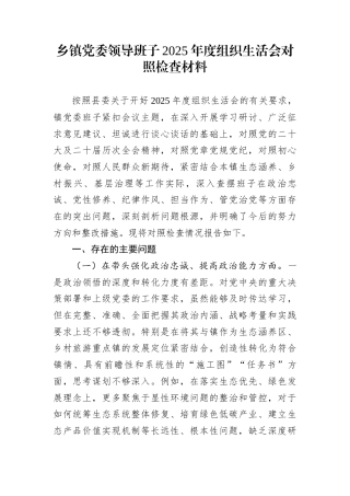 乡镇党委领导班子2025年度组织生活会对照检查材料