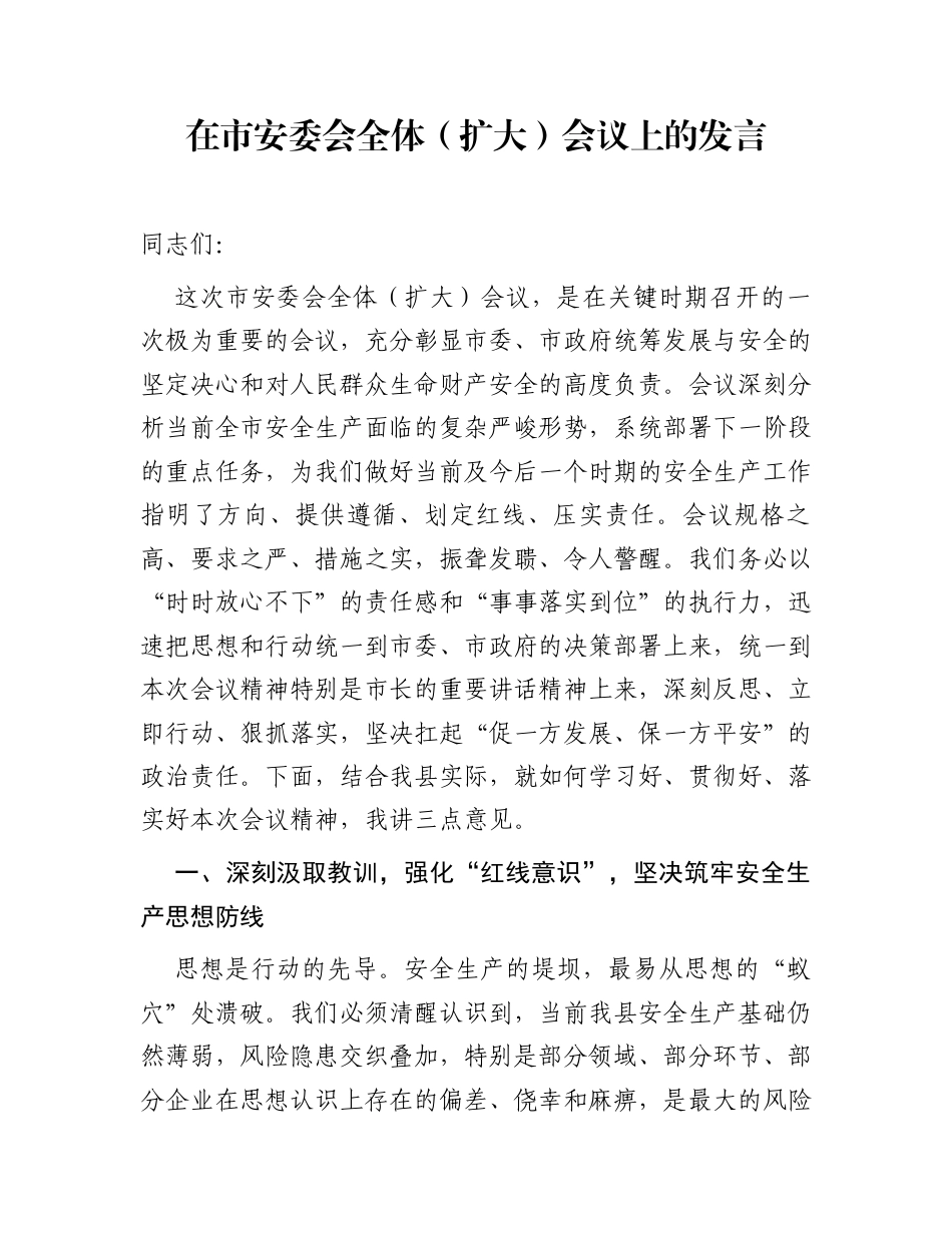 在市安委会全体（扩大）会议上的发言_第1页