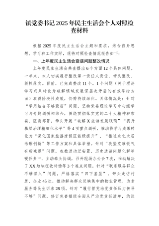 镇党委书记2025年民主生活会个人对照检查材料