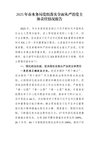 2025年市水务局党组落实全面从严治党主体责任情况报告