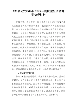 XX县公安局局长2025年度民主生活会对照检查材料
