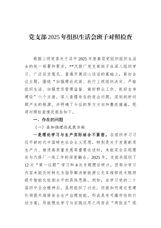 党支部2025年组织生活会班子对照检查