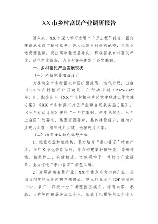 XX市乡村富民产业调研报告