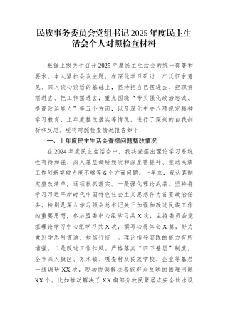 民族事务委员会党组书记2025年度民主生活会个人对照检查材料