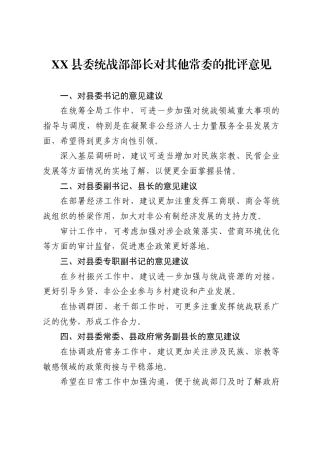 县委统战部部长对其他常委的批评意见