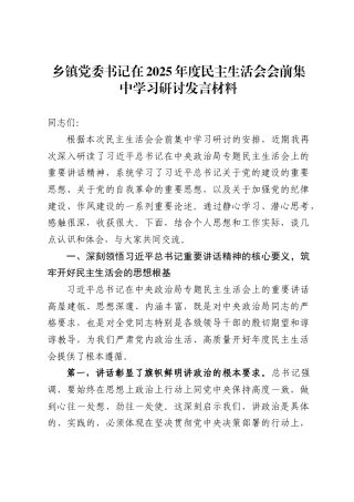 乡镇党委书记在2025年度民主生活会会前集中学习研讨发言材料-