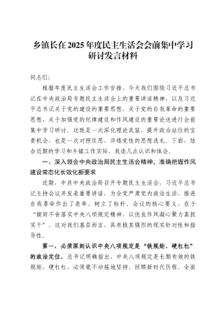 乡镇长在2025年度民主生活会会前集中学习研讨发言材料.