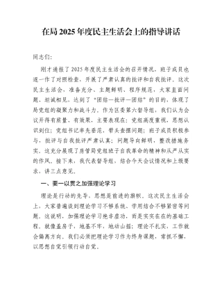 在局2025年度民主生活会上的指导讲话