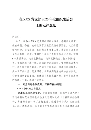 党支部2025年度组织生活会上的点评意见