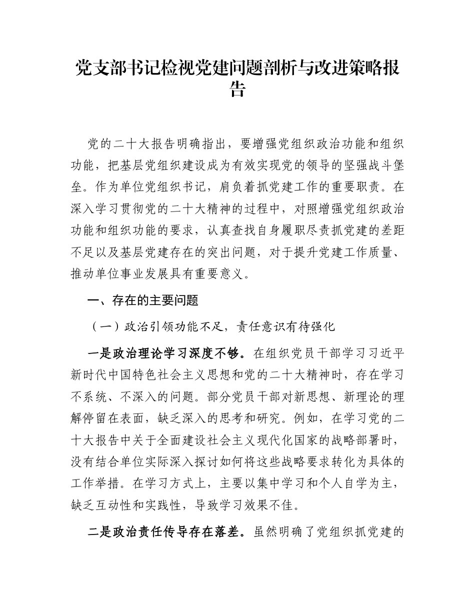 党支部书记检视党建问题剖析与改进策略报告_第1页