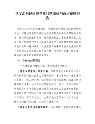 党支部书记检视党建问题剖析与改进策略报告