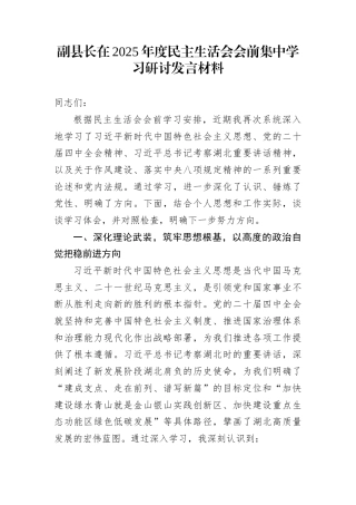 副县长在2025年度民主生活会会前集中学习研讨发言