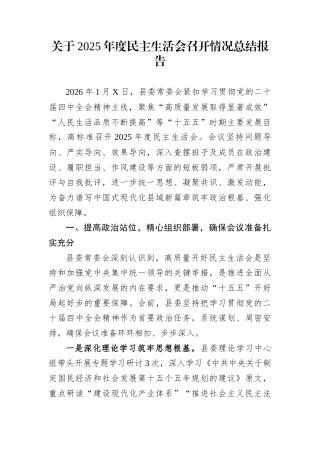 关于2025年度民主生活会召开情况总结报告