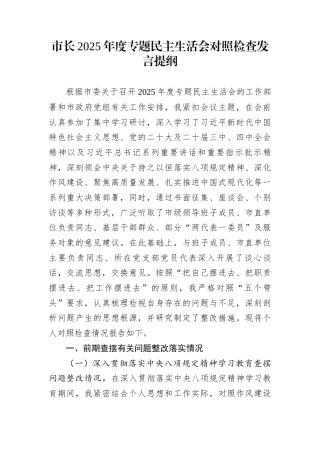 市长2025年度专题民主生活会对照检查发言提纲