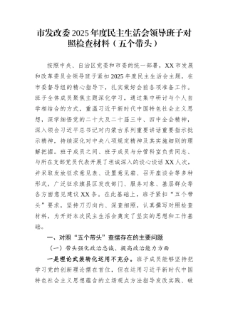 市发改委2025年度民主生活会领导班子对照检查材料（五个带头）