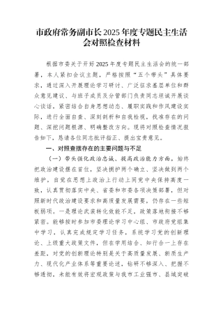 市政府常务副市长2025年度专题民主生活会对照检查材料