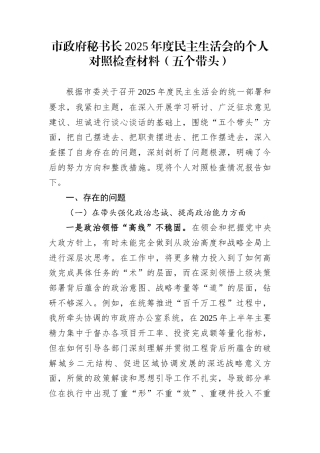 市政府秘书长2025年度民主生活会的个人对照检查材料（五个带头）