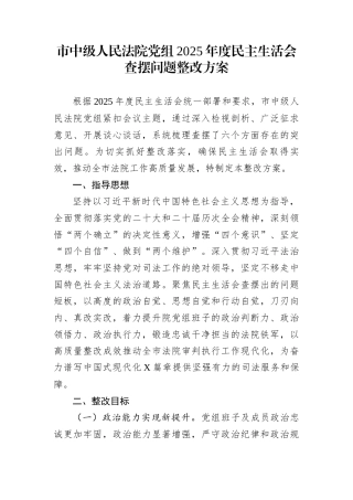 市中级人民法院党组2025年度民主生活会查摆问题整改方案